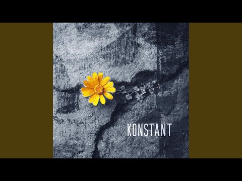 Songs wie die Ärzte