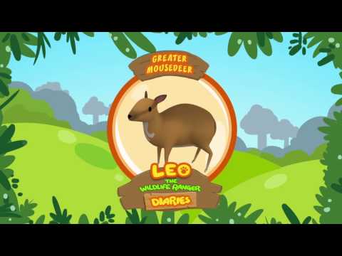 Witness21 Editor  2019 01 04