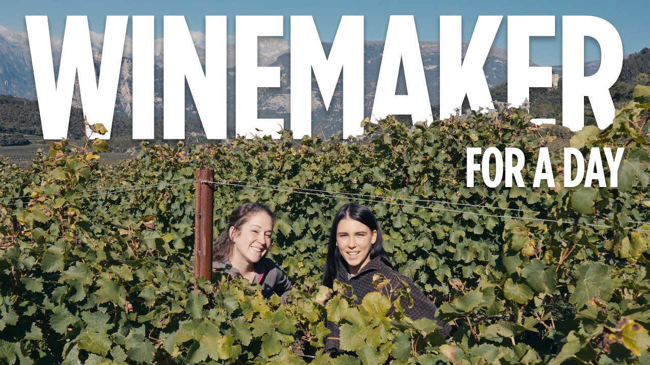 24 Hours as a Winemaker 🍇 | Live Like a Local