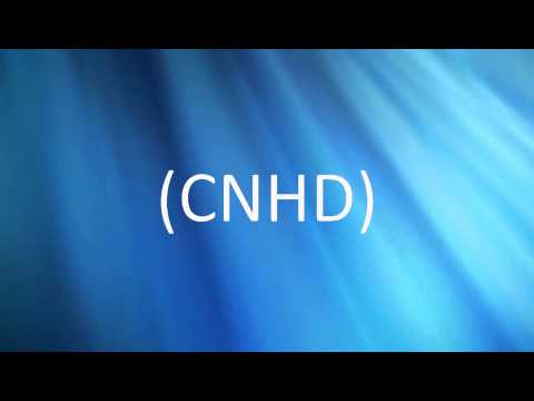 CNHD Vinheta Padrão - Interprogramas