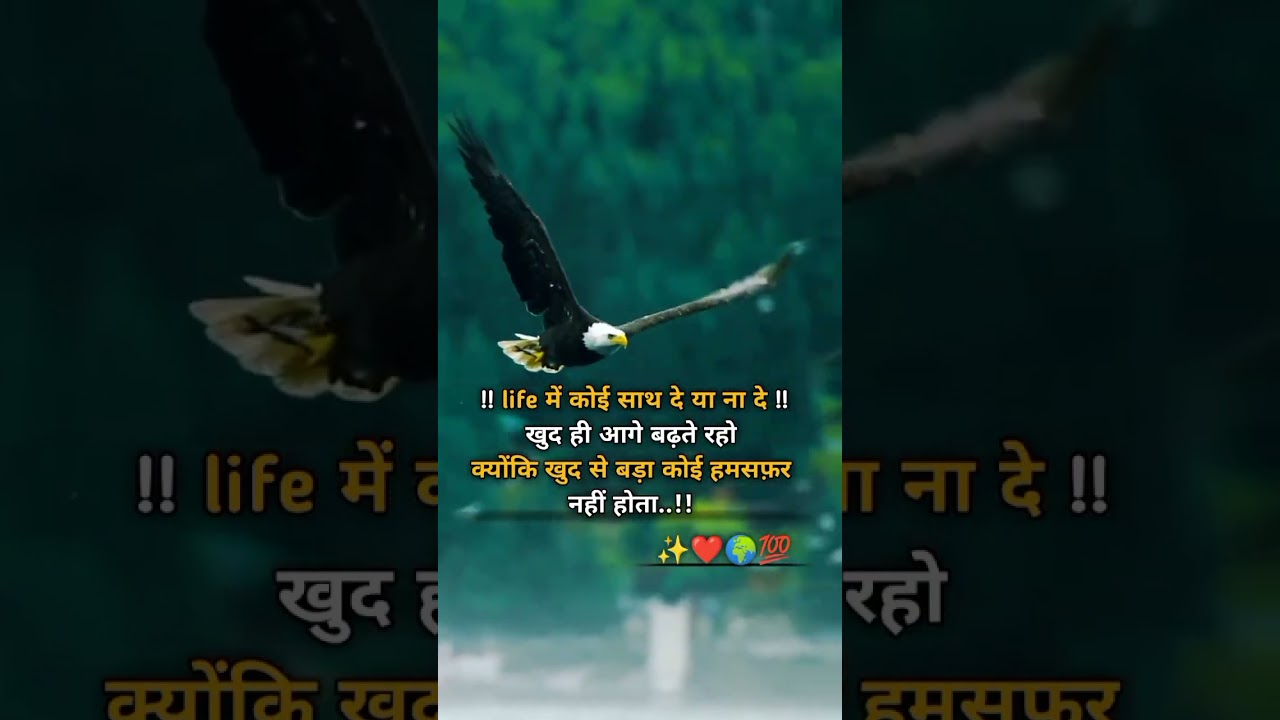 Pin by WishesMessages11 on Pins by you   Giving up quotes Cute quotes for friends I