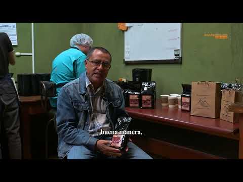 ☕ Café Pineda: 4 generaciones cultivando el sabor de las montañas de Santa Rosa