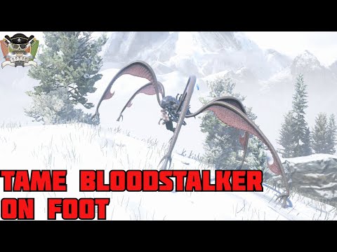 Taming a bloodstalker on foot is super easy!!!