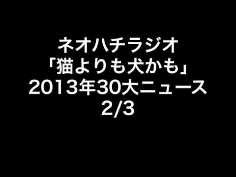 neohachi radio「猫よりも犬かも」2013年30大ニュース 2/3