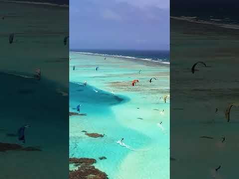 Los Roques an exceptional place💖#explore #travel #viral #nature #relaxing #reels #art #video #shorts