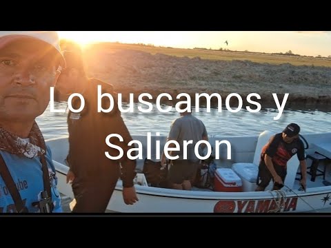 Volvimos a la laguna de Melincue costo pero salieron #pescaredfhish#solopesca 