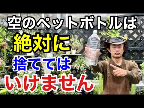 炭酸水で植物に水をやることができますか?炭酸水を使う前に知っておくべきこと！  庭園