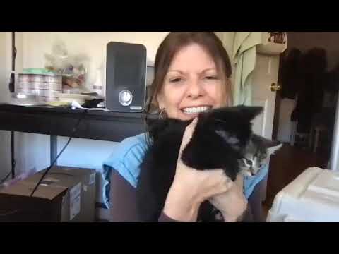 Equalizing and Exchanging Self with Other