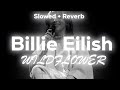 Billie Eilish WILDFLOWER Slowed Reverb Lyrics