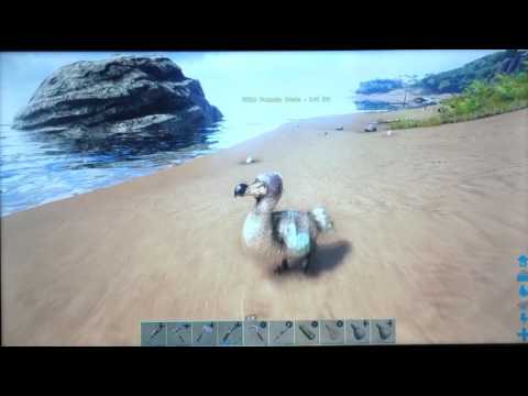 ARK Survival Evolved Xbox One how to tame animals