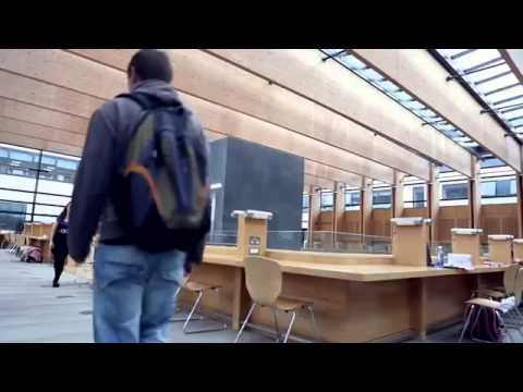 Study and Row at UCD