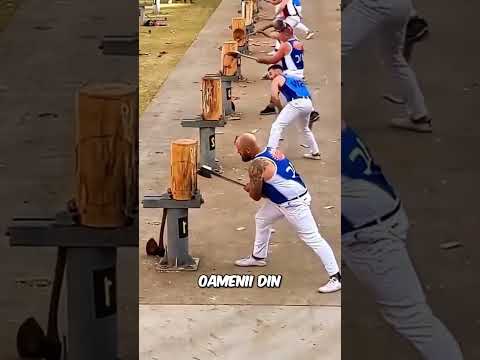 Câștigătorul surpriză la tăiat lemne! 🌲💪