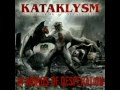 Kataklysm - In Words Of Desperation(Guitar Cover)