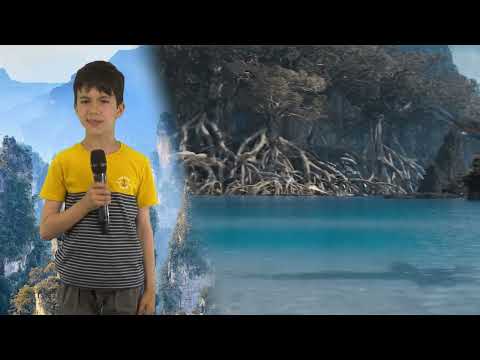 Avatar 2, dată de lansare - Albert Manea