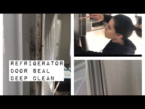 How to clean MOLD from a Refrigerator Door Seal DISGUSTING! Using NATURAL household items