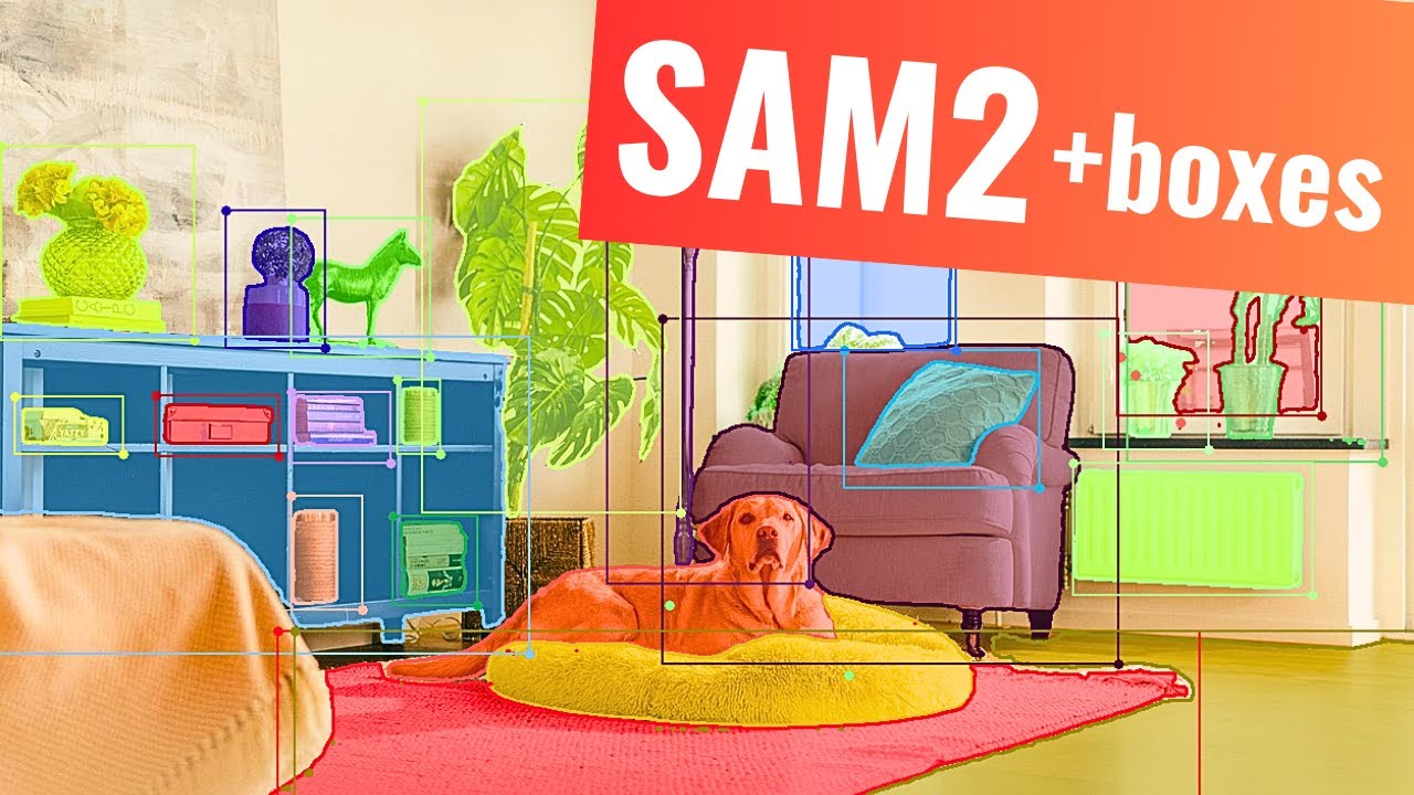 Segment Anything 2 (SAM2) ONNX - Box Annotation Example