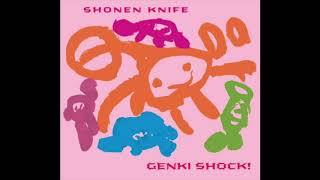 Shonen Knife – 05 SPIDER HOUSE