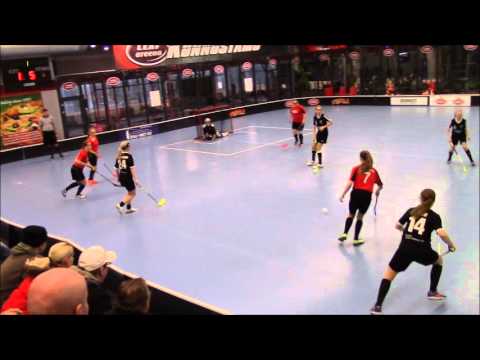 22.11.2015 SB Hirvensalo B-tytöt - Salamanders Maalikooste