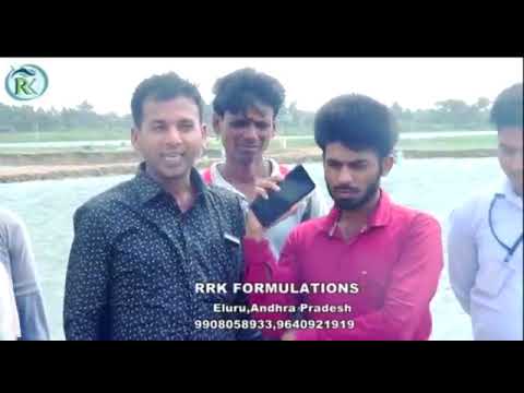 Aqua culture vitamin-c powder, packaging type: jar