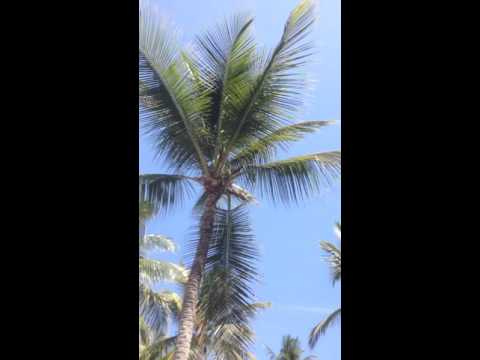 Rinkadink vs Element up13