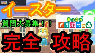 あつまれどうぶつの森　イースター完全攻略！！