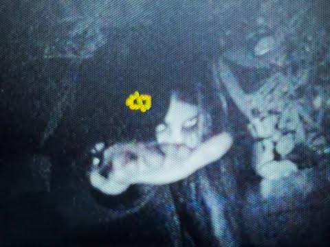 Video thumbnail for สบตา الاتصال بالعين (EYE CONTACT)