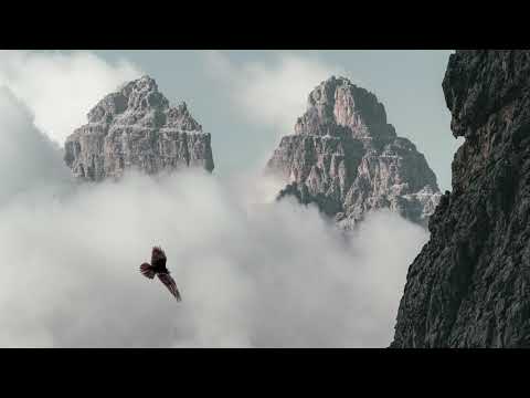 Resplandores De Su Visión y Su Voluntad | Hechos 10:24-48