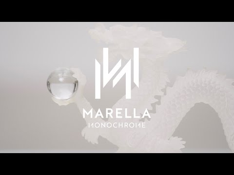 MARELLA FW24 | MONOCHROME COLLECTION