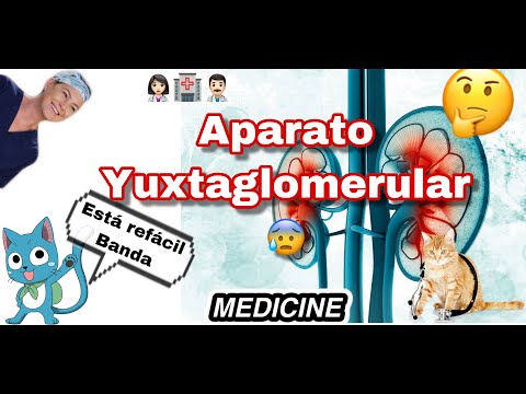 ¿Qué es el aparato Yuxtaglomerular?