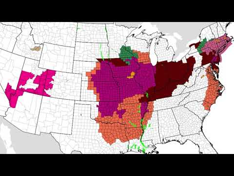 July 17, 2019 Weather Xtreme Video - Afternoon Edition