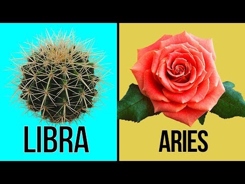 , title : 'What Flower are You Based on Your Zodiac Sign