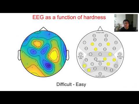 [VIS 20 Talk] Scalability of Network Visualisation from a Cognitive Load Perspective
