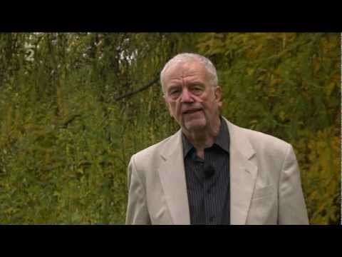 Metuzalém - zdravé stárnutí mozku