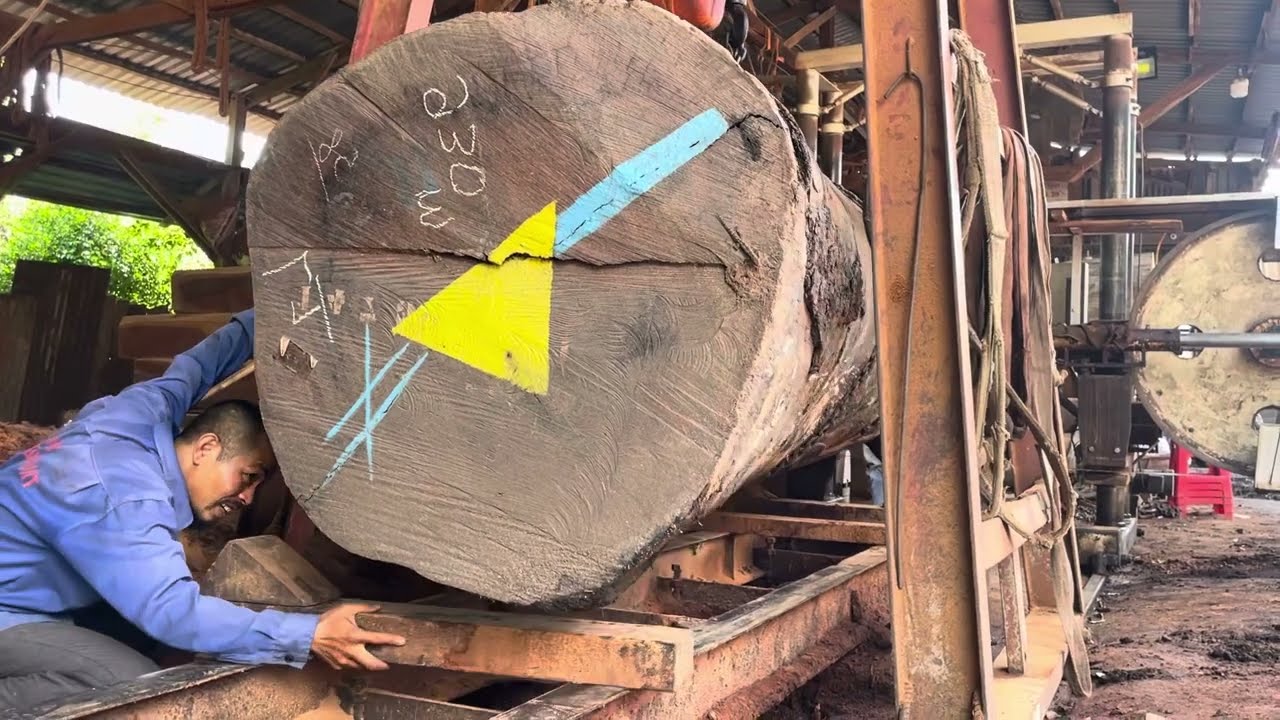 Sierra para madera La máquina más grande y resistente que funciona a plena capacidad #38