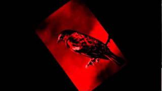 Mannarino - Merlo Rosso