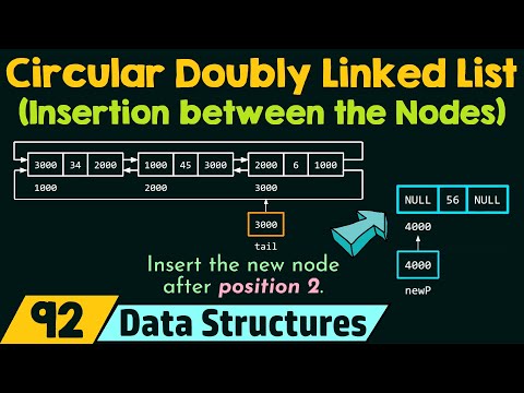 Circular Doubly Linked List Insertion between the Nodes