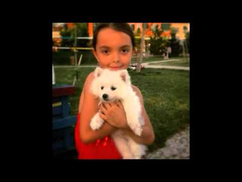 Adele - Rolling In The Deep cover - By Stina Shala