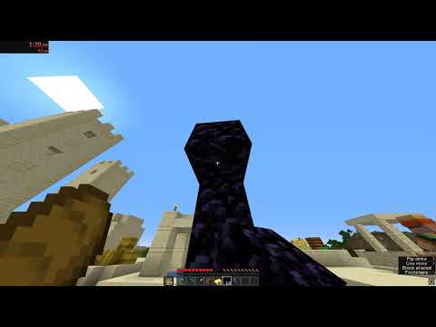 Pogloot achieving second place in a 1.16.1 RSG run