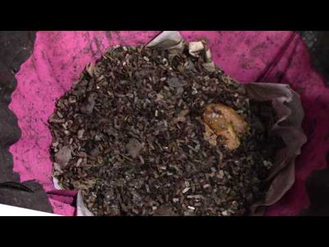 Vermibag ENC first week Review