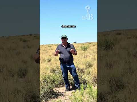 11000has en Santa Isabel, La Pampa