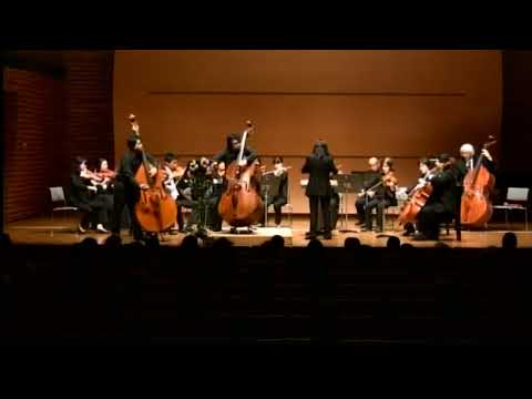 癒し系音楽Gabriel's Oboe  of 2Basses(Dan & Masa) with Strings Orchestra Cond.Yukari Ishimoto－Innami