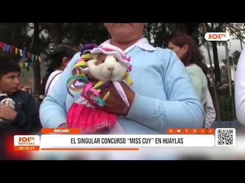 Áncash: realizan singular concurso "Miss Cuy" en Huaylas