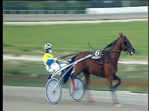 Trotto 11/02/2018 - 5ª corsa