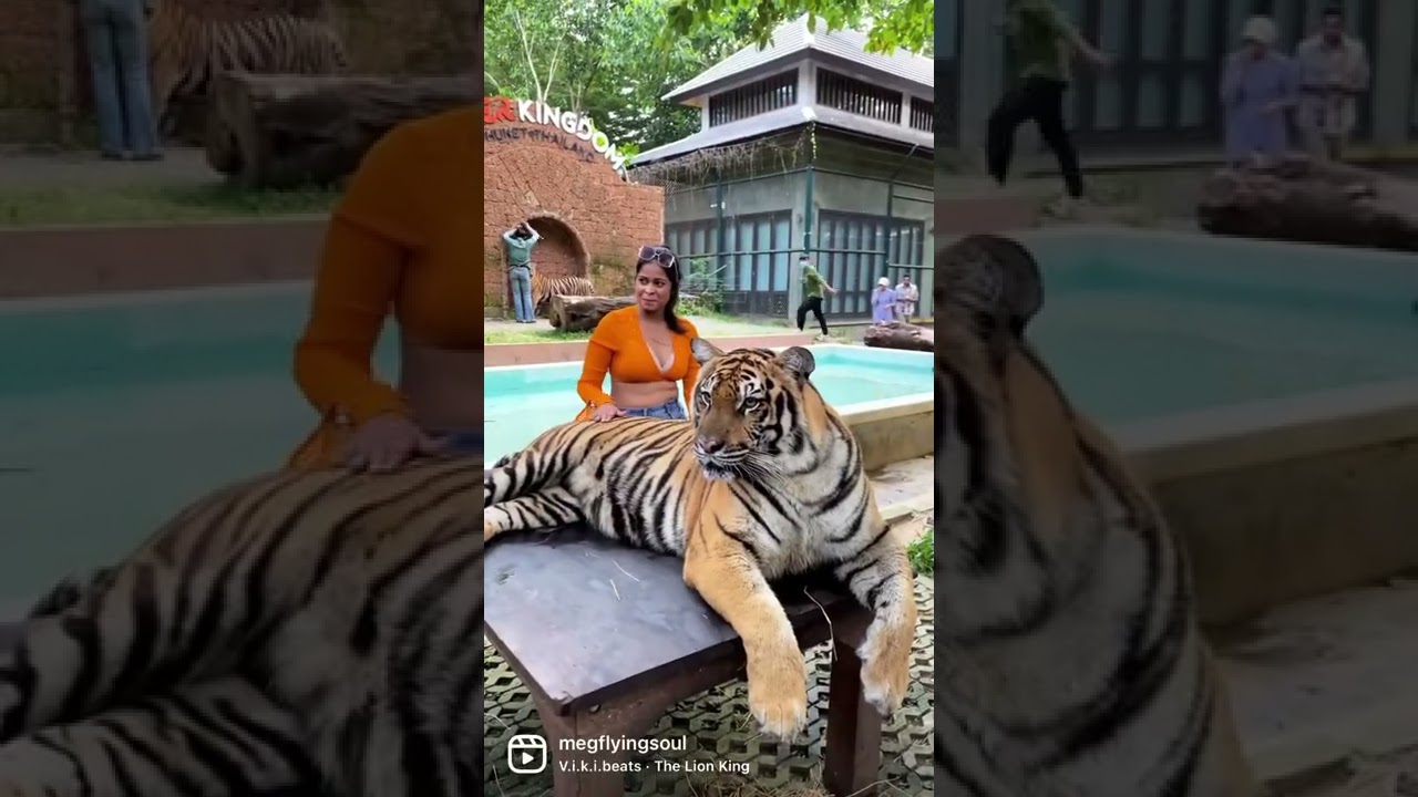 YouTube Short thumbnail