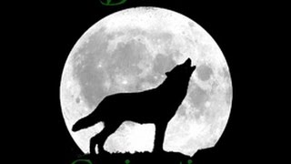 Skyrim Mod Review: Druid Conjuration