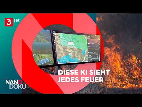 Video Thumbnail: Wie KI das Pantanal vor neuen Feuerkatastrophen schützt | NANO Doku