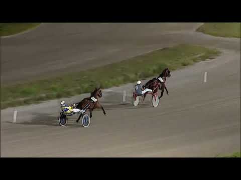 Napoli Trotto 07/07/2023 - 3ª prova di qualifica