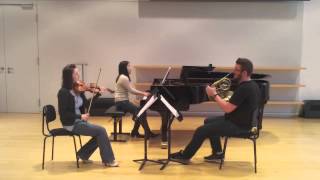 Brahms: Horntrio op 40 - preview for Bachelor Concert 3 May 2012