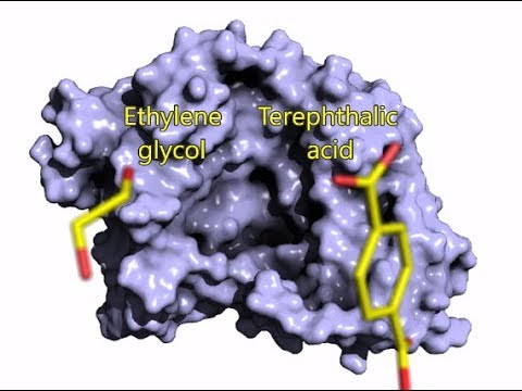 Eine Schere für den Plastikmüll