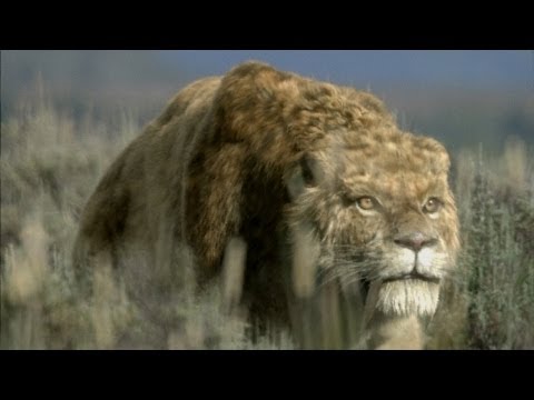 Sabre-Tooth Cat: Predator by Design - Ice Age Giants - Episode 1 Preview - BBC Two
